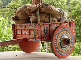 Oxcart loaded with coffee in Costa Rica