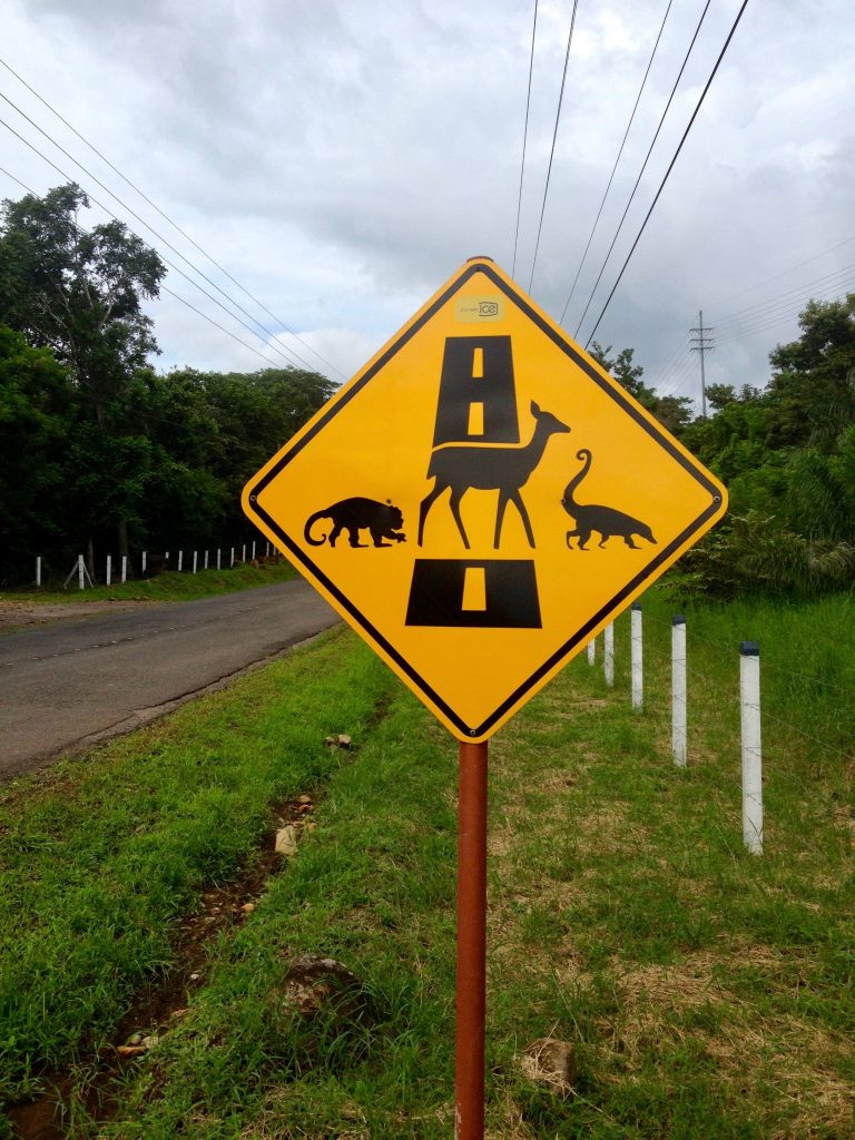 Costa Rica road sign advising drivers to watch out for monkeys, deer and coatimundis