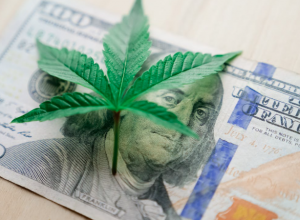 Marijuana leaf over a dollar bill