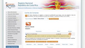 Image of the land registry website in Costa Rica