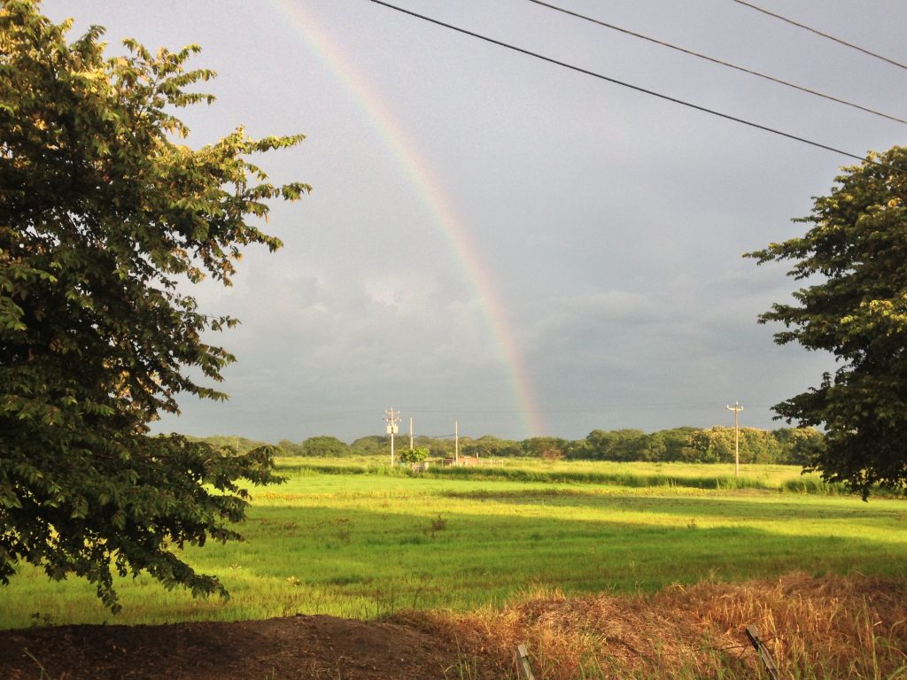 Costa Rica Rainbow over a piece of agricultural land