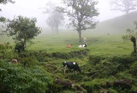 Misty clouds in the hills surrounding Monteverde